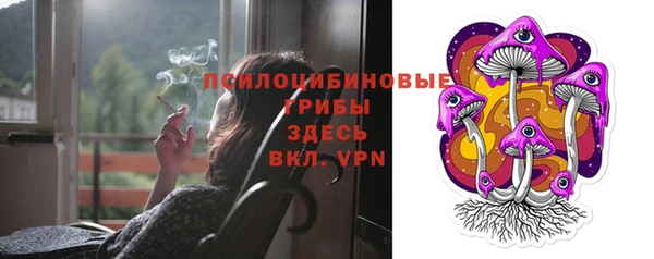 соль ск Белокуриха
