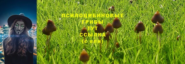 прущий лед Беломорск