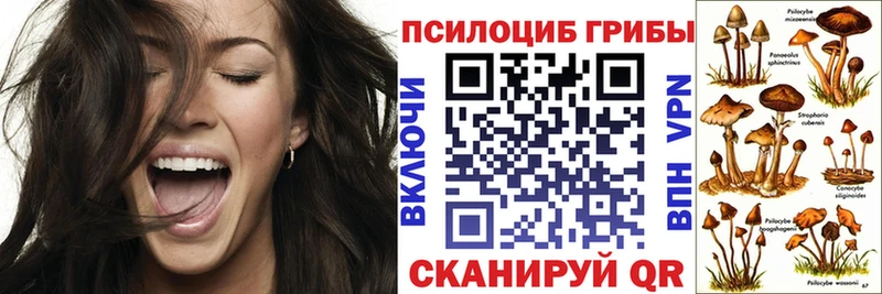 Псилоцибиновые грибы Cubensis blacksprut ссылка Болохово как найти закладки